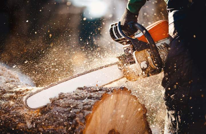 Entreprise élagage Nancy